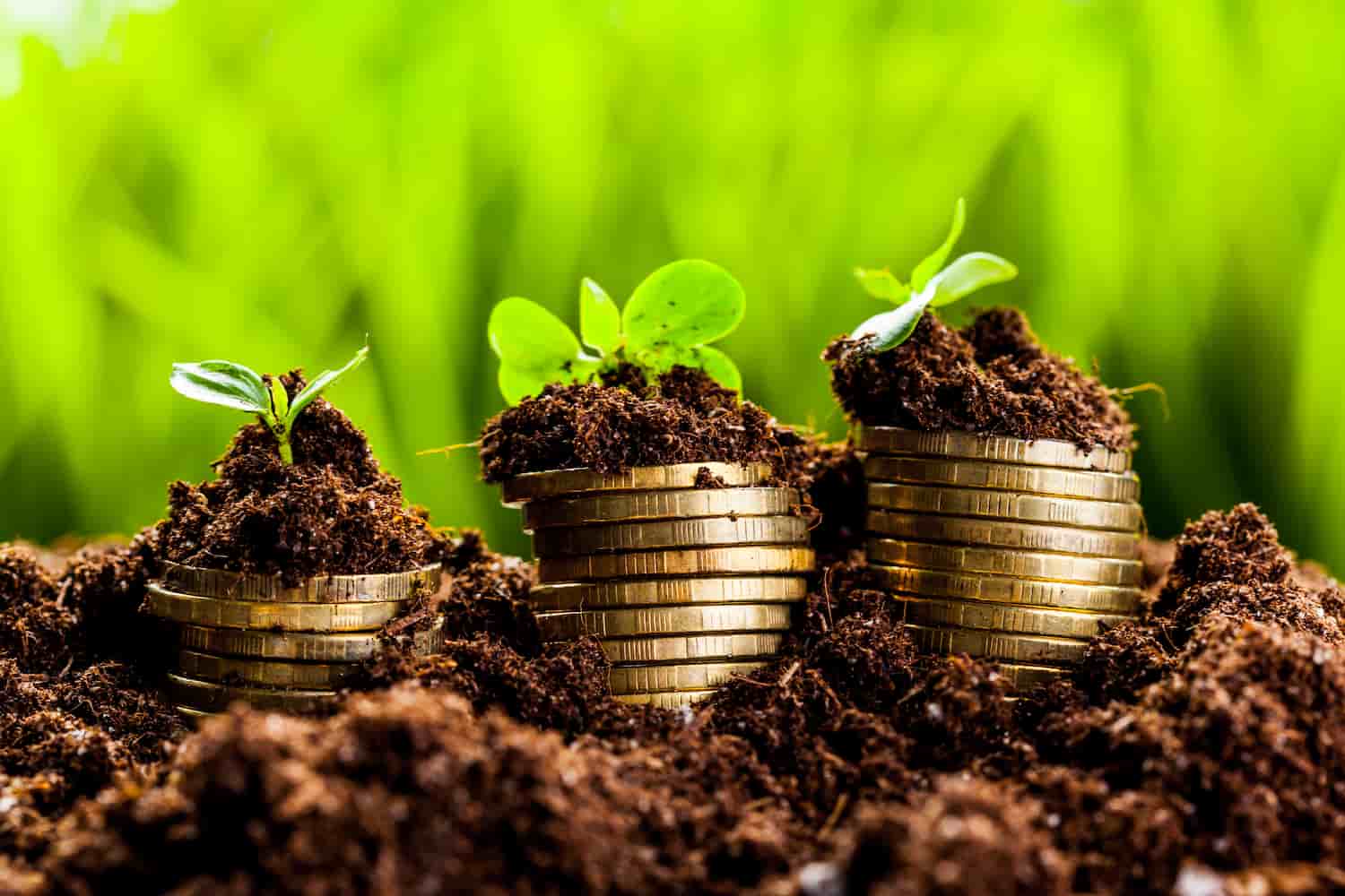 Reforma Tributária No Agronegócio - I.C & Tributária